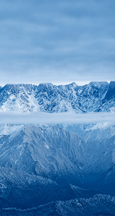 关于PA集团|中国官网