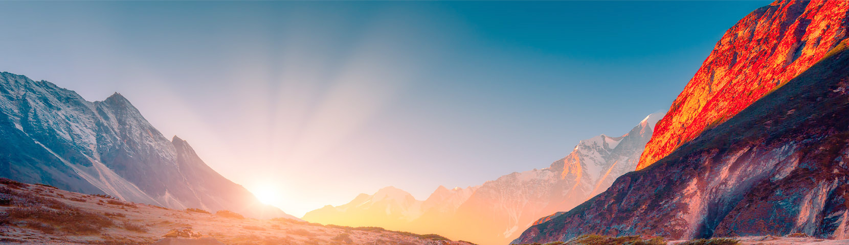 关于PA集团|中国官网